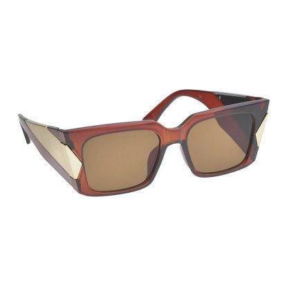 Sunglasses in brown color